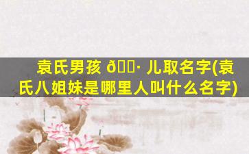 袁氏男孩 🕷 儿取名字(袁氏八姐妹是哪里人叫什么名字)